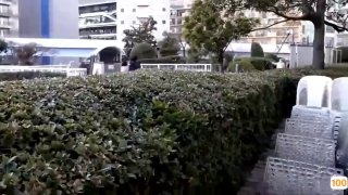 含有“偷窥自拍国内自拍视频在线观看”等内容的视频在线观看